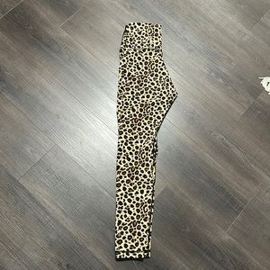 Colorful Koala Leggings